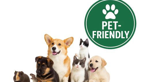 Bom Braga AL - Foto 2, pet friendly