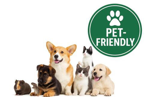 Bom Braga AL - Foto 2