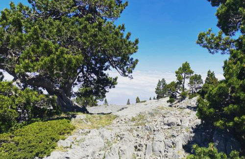 BÈTH CÈU Appt vacances 4P- La Pierre St Martin GR10 - Foto 41