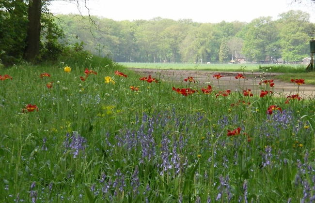 Stylish Escape in Enter - Foto 42