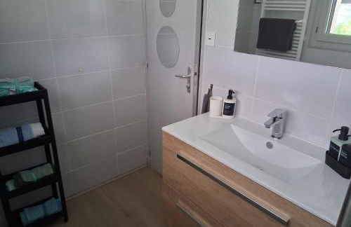 Gite les Vignes du Château - 30 min Beauval - Foto 36