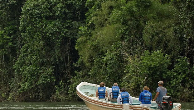 Macaws and Montes Azules Reserve from Palenque - Foto 2