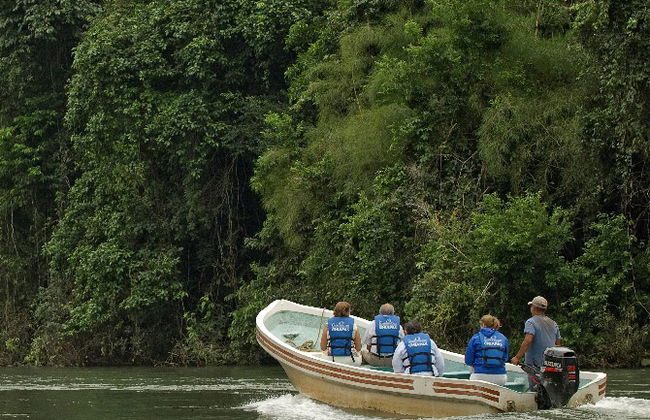 Macaws and Montes Azules Reserve from Palenque - Foto 2