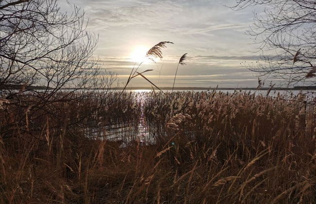 Sea Domicile Goitzsche - Foto 24