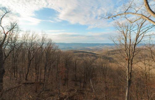 Mountain Overlook Supercabin - Photo 21