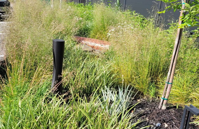 Peachview Suites - Foto 36