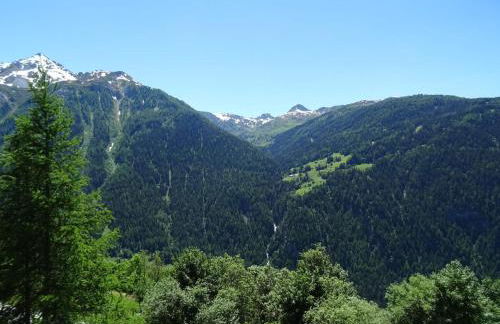 Appartement 2 pièces 6 pers, Plan Peisey, proche commerces et pistes - FR-1-411-79 - Foto 4