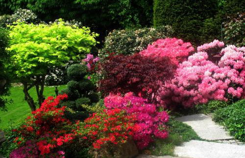 Häusl im Park - Foto 7