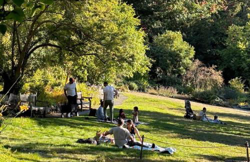 Central Berkeley Garden Oasis - Foto 77