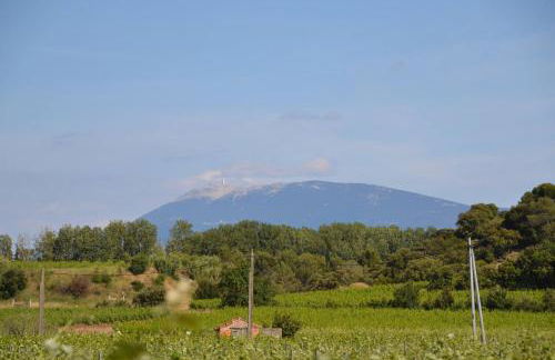 Vacances Vaison la Romaine - Photo 2