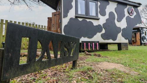 Daisy Cow Shed 1 - Foto 2