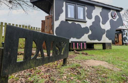 Daisy Cow Shed 1 - Foto 2