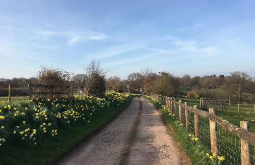 Cosy Stable at Oak Farm - Foto 13