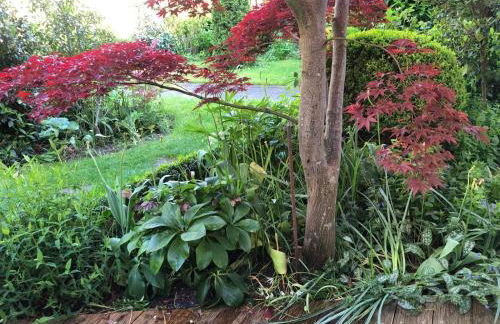 sonnige Idylle - Foto 2