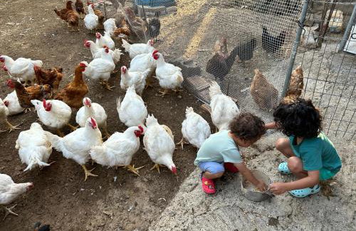 BIO Garden Stonehouse - Foto 33