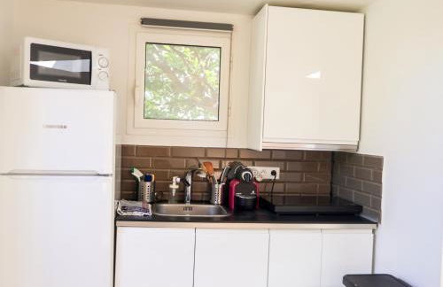 Les Hirondelles - Foto 14