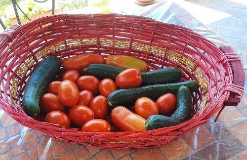 Villa Ca' Doccio Holiday - Photo 17