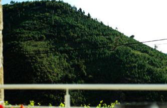 Casa Fidalgo - Foto 29