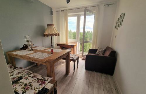 u Ewy apartament z balkonem dla 3 osób 2pokojesamodzielne zameldowanie, kody w wiadomości przed przyjazdem - Foto 8