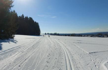 Ferienwohnung Reinhold - Foto 21