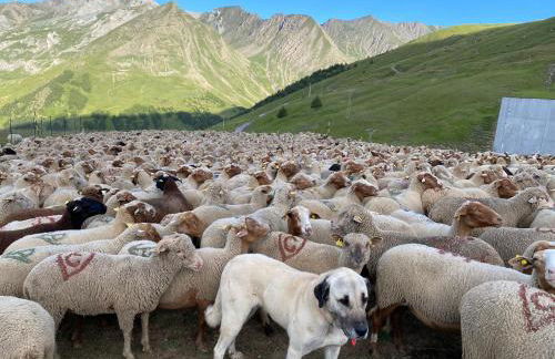 Foux d Allos Centre de la Station 4 Pièces 8 Personnes - Foto 32