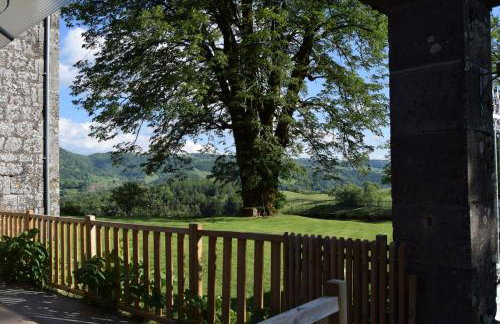 Gîte 4 personnes dans le Cantal Animaux bienvenus - Foto 11