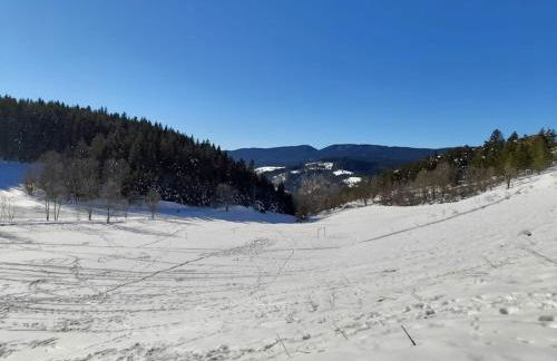 les glovettes Villard de lans - Foto 16