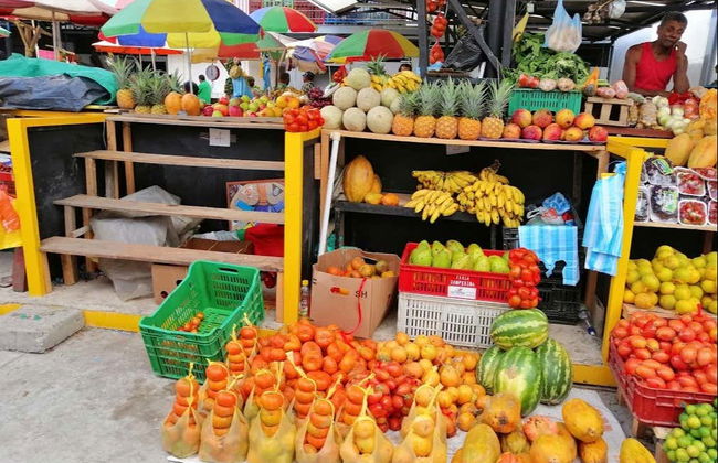 Tour da fruta colombiana - Foto 1