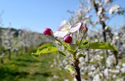 Unterfrickhof - Foto 5