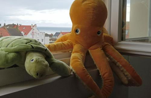 Détente sur la Côte d'Opale - Foto 13