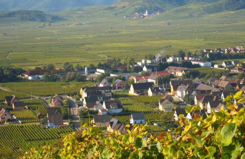 Alsace Appartements Meyer-Krumb - Foto 17