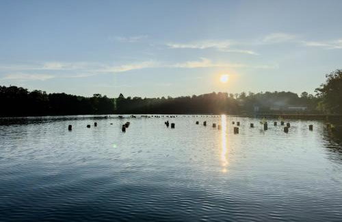 Harmonia Appartements Lagow - Foto 17