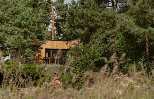 Mięta Lakeside - Foto 11