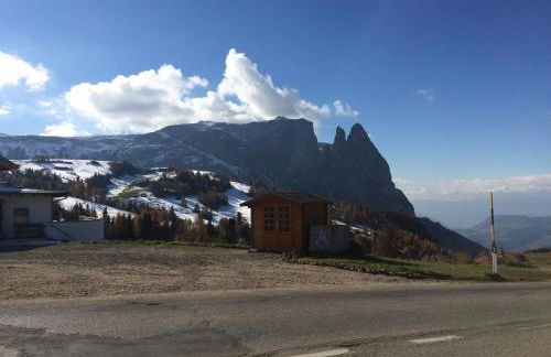 Appartamento Alpe di Siusi - Foto 66