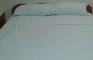 Green House - Photo 6