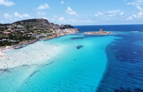 BuenaVista - Photo 19