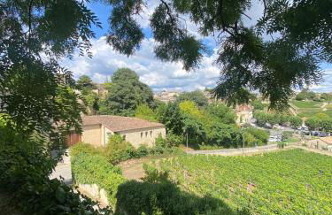 La Madeleine, nichée au cœur de Saint-Émilion - Foto 34