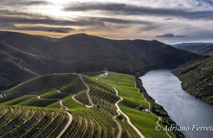 Casa da Barca - Foto 35