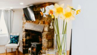 Pauls Place - Foto 4