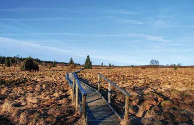 Robertville Lakeview Escape - Photo 36