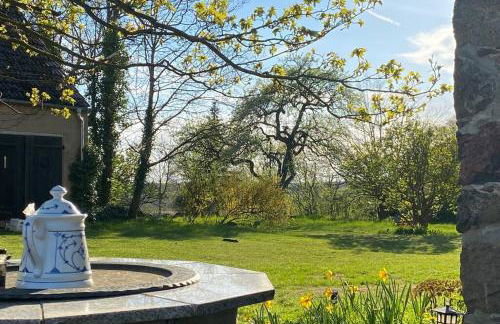 Landhaus Lange3 Moderne Kunst - Photo 23