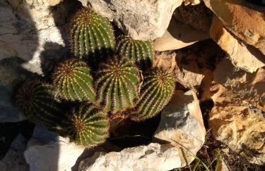 Holiday Home Rubinić - Foto 13