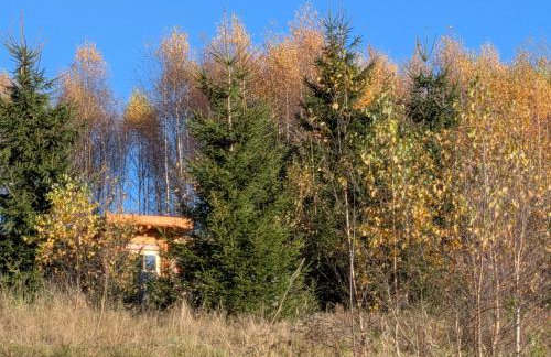 Hobbitówka - Foto 8