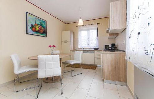 Holiday Home Nedescina 49 - Foto 33