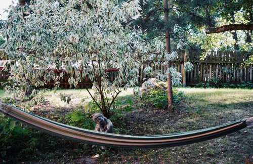 Dom Przemian - Foto 32