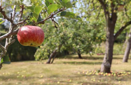 The Old Stables - Foto 35