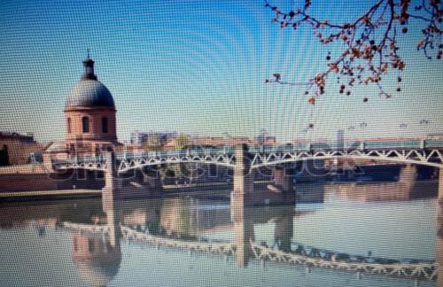 LE SAINT CYP - Toulouse - appart entier cosy et au calme, proche du métro - Foto 11