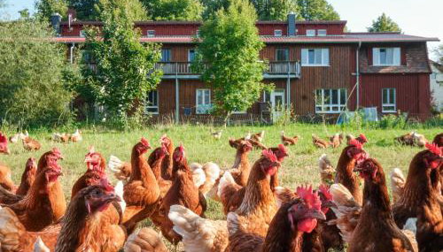 Biohof Medewege - Foto 2