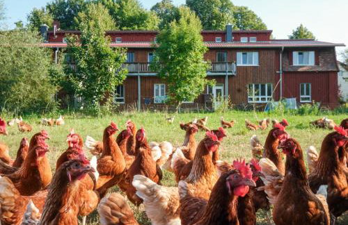 Biohof Medewege - Foto 2