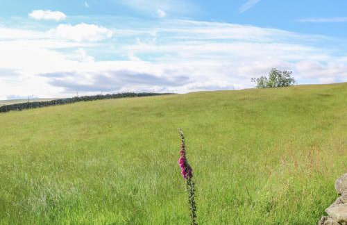 Shepherd's Cottage - Photo 38